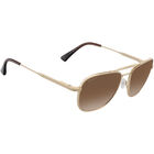 NAVIGATOR, Gold-Mineral Polarized Drivers Gradient Cat 2 to 3, hi-res image number null